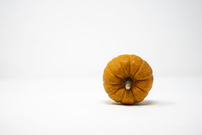 Close-up of pumpkin against orange background