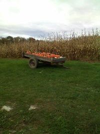 Tractor on grassy field against cloudy sky
