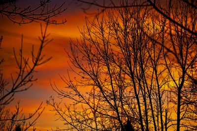Silhouette of bare trees against sky at sunset