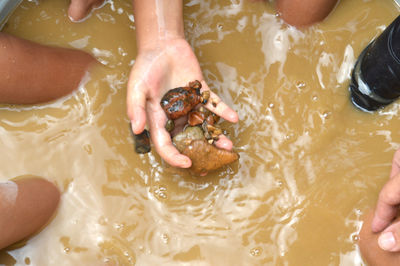 High angle view of hands in water