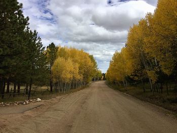 Road amidst trees against sky during autumn