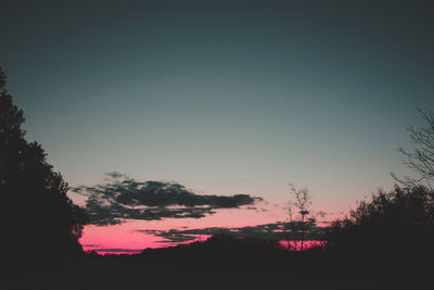 Silhouette trees against clear sky during sunset