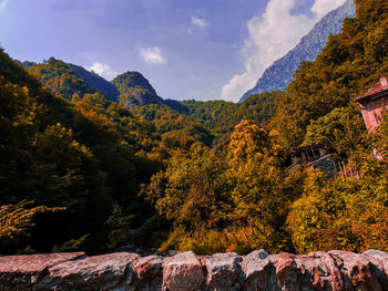 Scenic view of tree mountains against sky during autumn