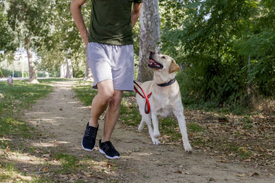 Low section of man with dog standing by tree