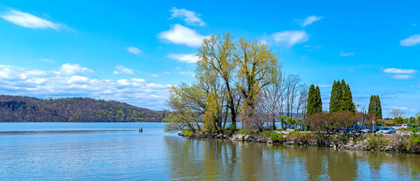 Plants by lake against blue sky