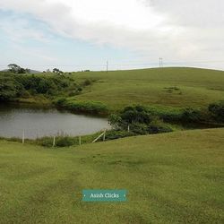 Scenic view of grassy field against sky