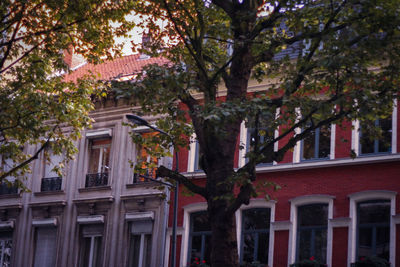 Low angle view of building with trees in background