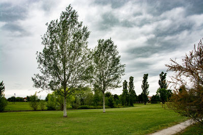 Trees on field against sky