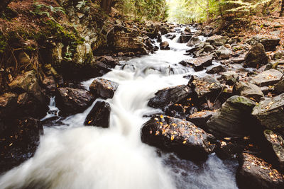 Scenic view of waterfall in forest