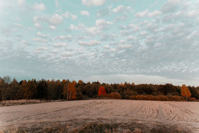 Scenic view of field against sky