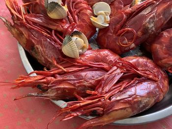 High angle view of red  lobster seafood