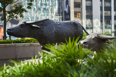 Grass and tree in front of building