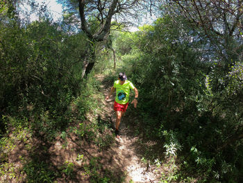 Rear view of man amidst trees in forest