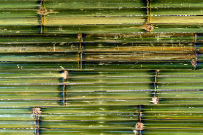 Full frame shot of bamboos