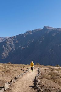 Rear view of man walking on mountain