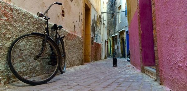 Narrow alley along buildings