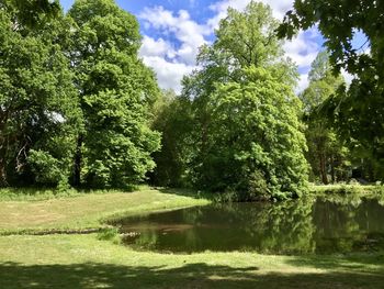 Scenic view of lake by trees against sky