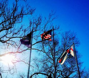 Low angle view of flag on tree against sky