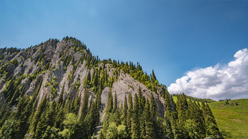 Panoramic view of landscape against sky