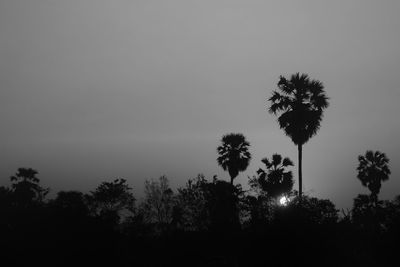 Low angle view of silhouette trees against sky during sunset