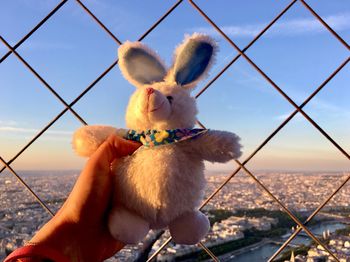 Close-up of hand holding fence against sky