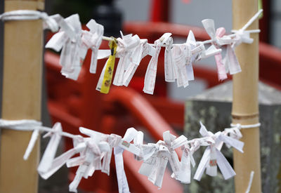 A piece of paper with fortune telling tied to a shrine in japan