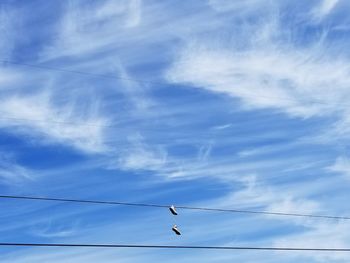 Low angle view of birds flying against blue sky