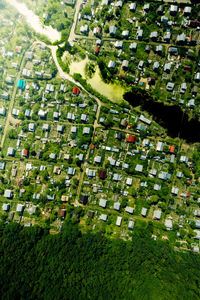 High angle view of trees and buildings in field