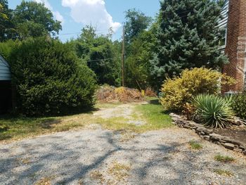 Footpath amidst trees in park against sky