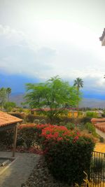 View of plants against cloudy sky