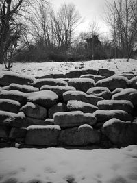 Stones by trees against sky