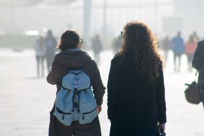 Rear view of friends walking on walkway