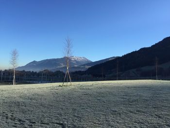 Scenic view of field against clear blue sky