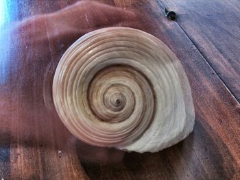 Close-up of wooden plank