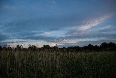 Scenic view of field against cloudy sky