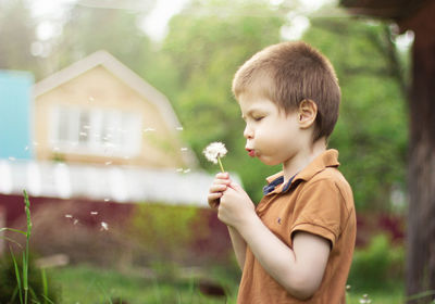 A boy of 5 years old blows on a dandelion in the summer outside in the village on a sunny day