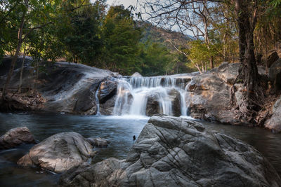 Scenic view of waterfall in forest