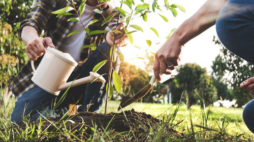 Midsection of man holding plants on field