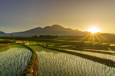 Beautiful views of sunlight and morning mist on blue mountains and beautiful terraces of indonesian