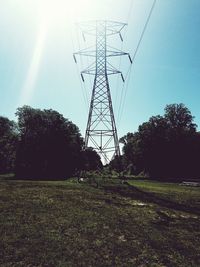 Low angle view of trees on field