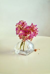 Close-up of pink flowers in vase on table