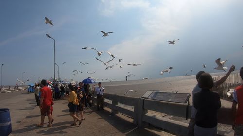 Group of birds flying over beach against sky