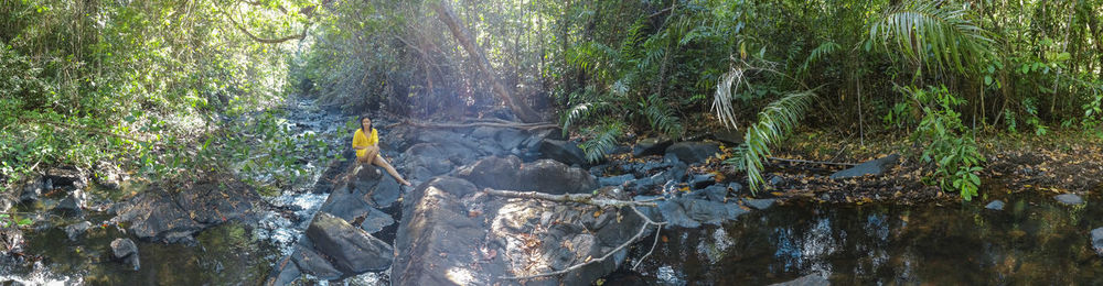 Scenic view of waterfall in forest