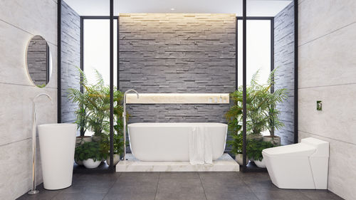 Potted plants against white wall and building