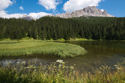 Scenic view of lake by trees against sky