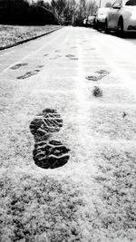 Road passing through forest