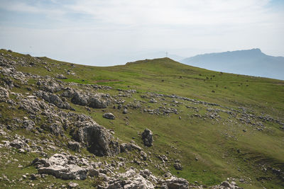 Scenic view of landscape against sky