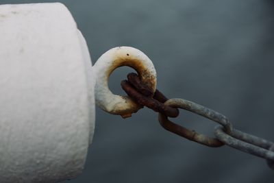 Close-up of rusty chain