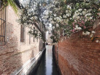 View of canal amidst buildings