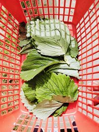 High angle view of vegetables in basket on table